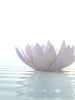 Intro to Energy & Aura